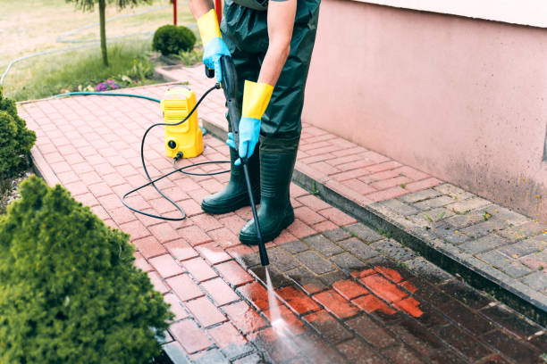 Best House Pressure Washing  in Hebron, MD