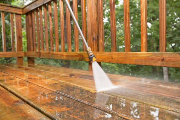 Best Roof Pressure Washing  in Hebron, MD